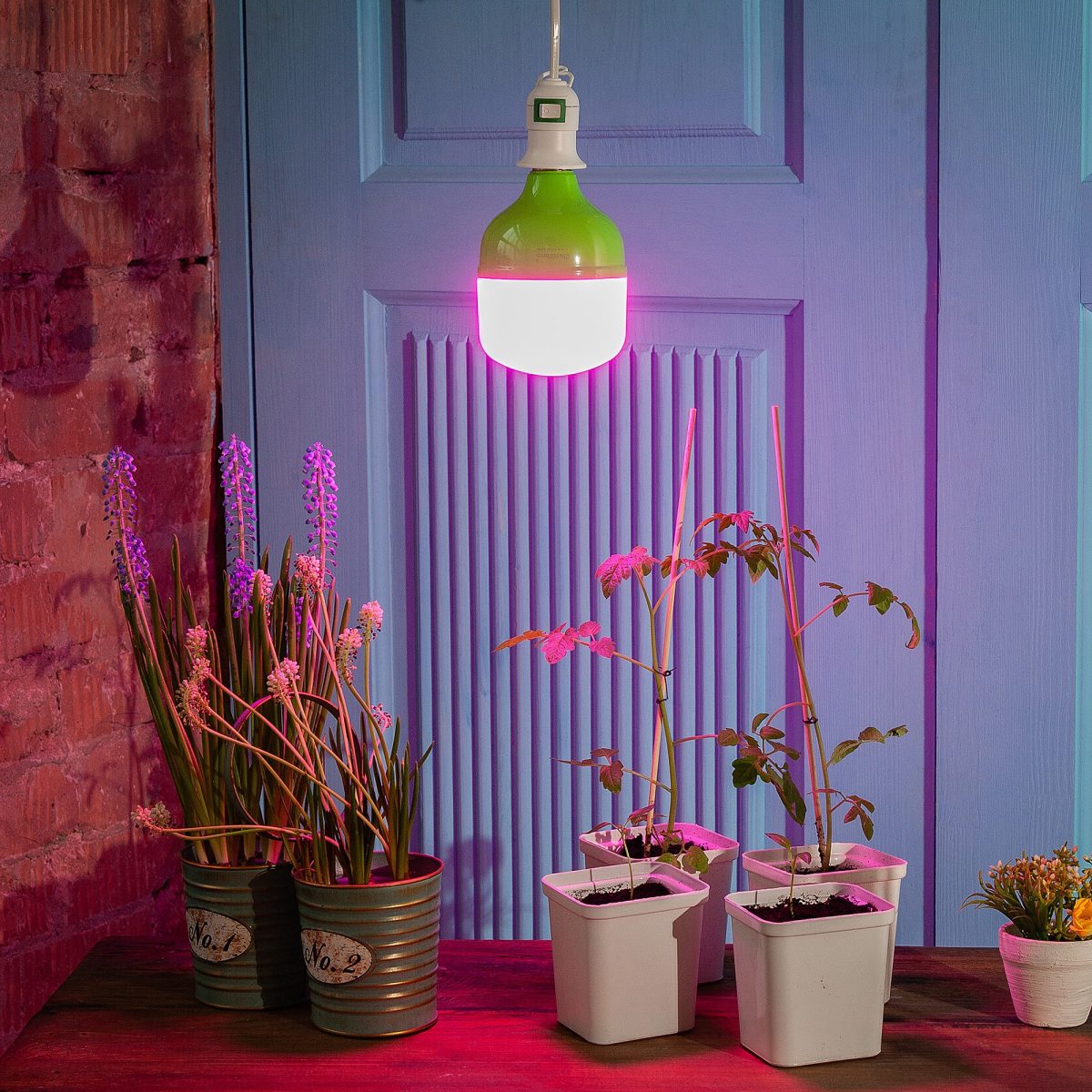 LED-M80-20W/SPSB/E27/FR PLS55GR Лампа светодиодная для растений, IP54. Форма M, матовая. Спектр для рассады и цветения. Картон. TM Unie