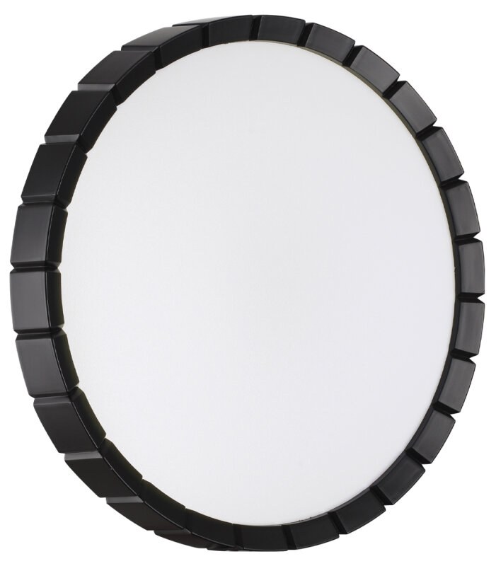 Накладной светильник Sonex PALE 7646/CLN