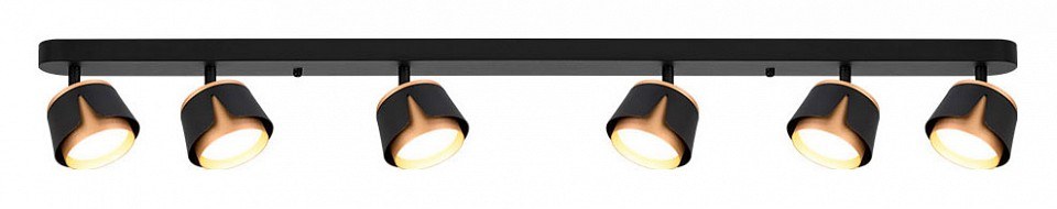 Спот Arte Lamp Amaks A8028PL-6BK