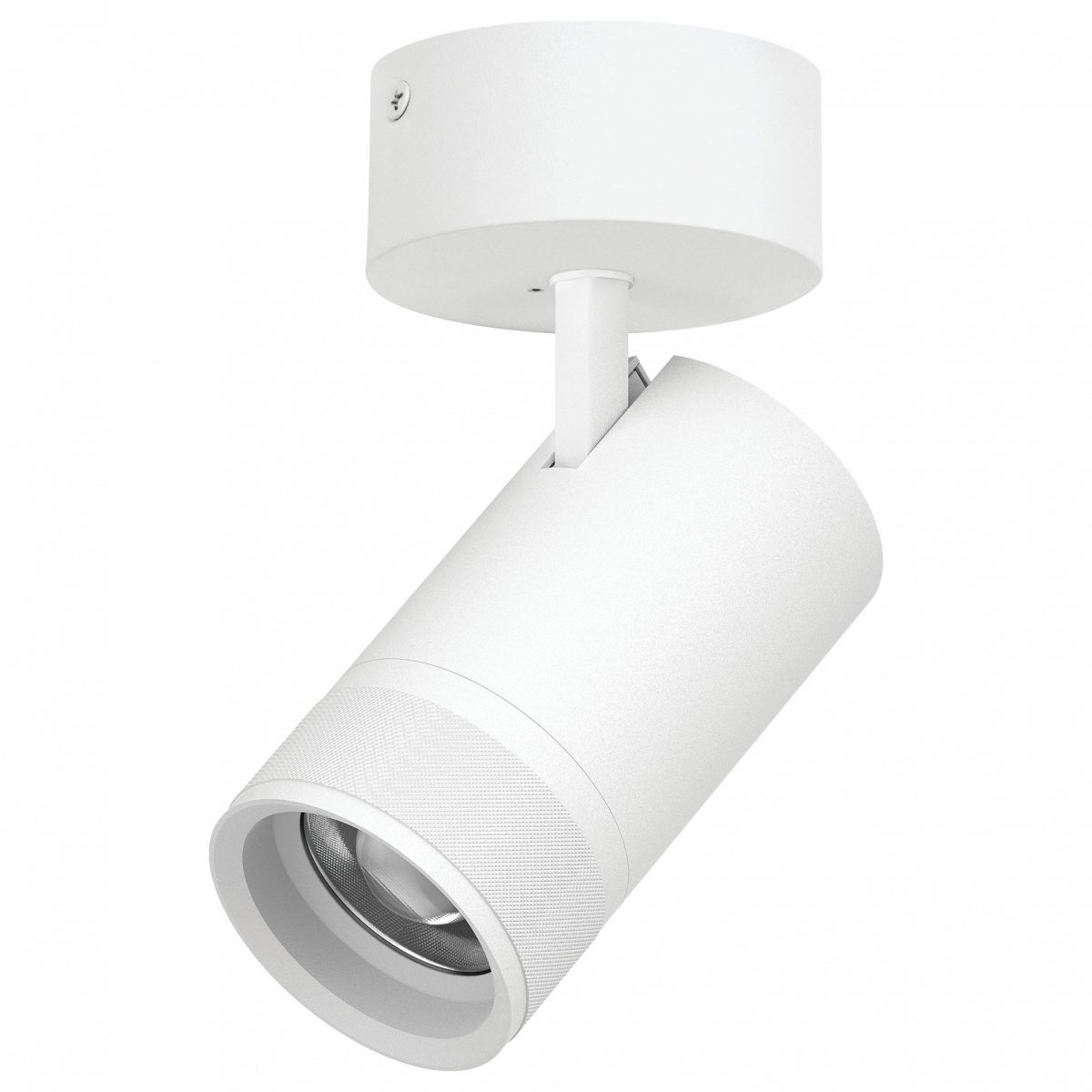 Спот Lightstar Canno Pro C4406SO