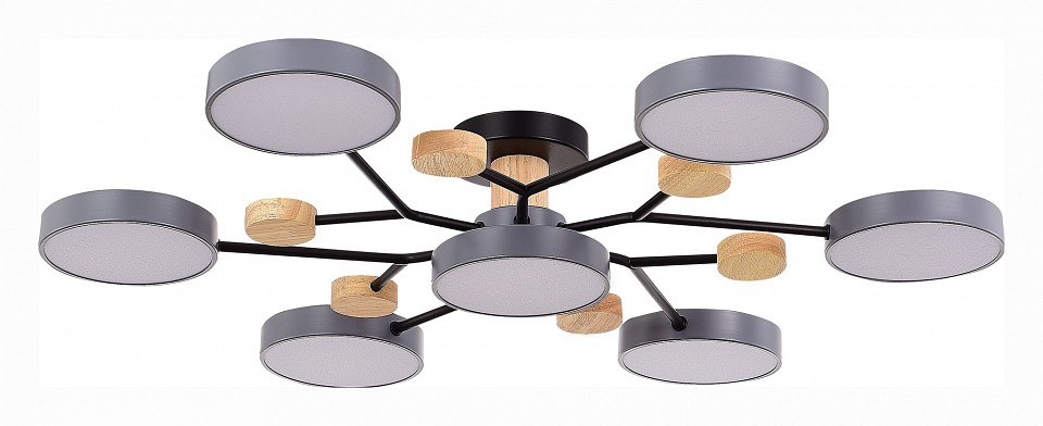 Потолочная люстра EVOLUCE Faema SLE6006-702-07