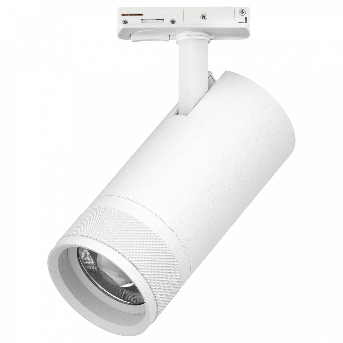Светильник на штанге Lightstar Canno Pro C4306SS