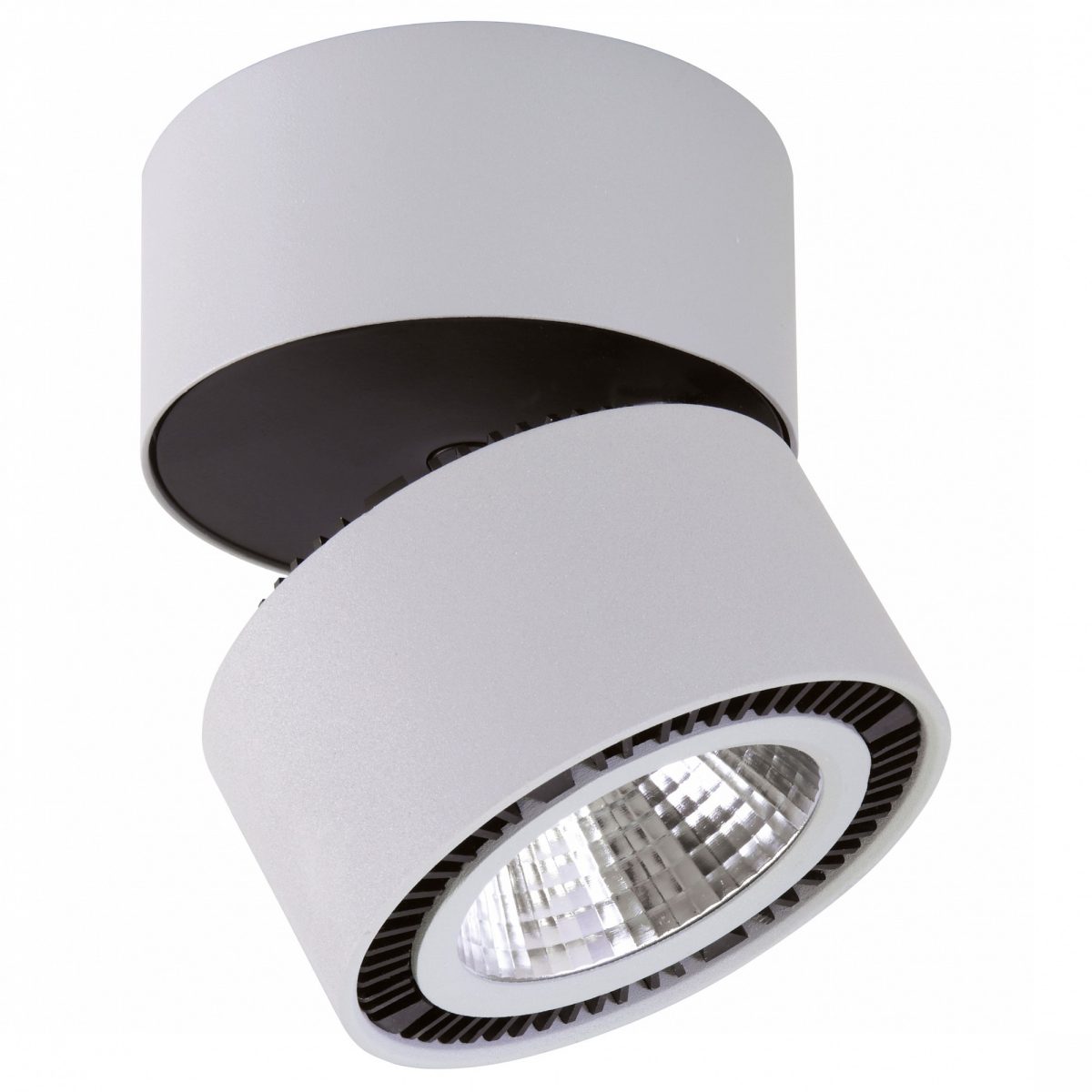 Накладной светильник Lightstar Forte Muro 214830