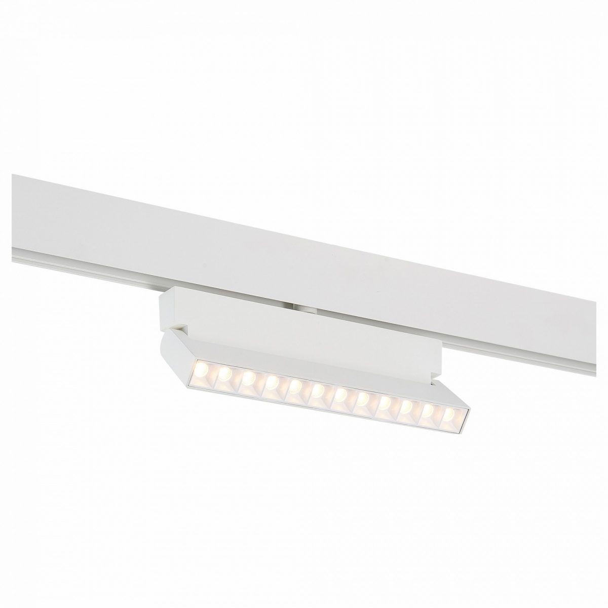 Светильник на штанге ST-Luce Andre ST362.536.12