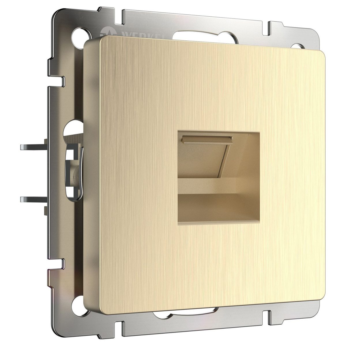 Розетка Ethernet RJ-45 без рамки Werkel шампань рифленый W1181010