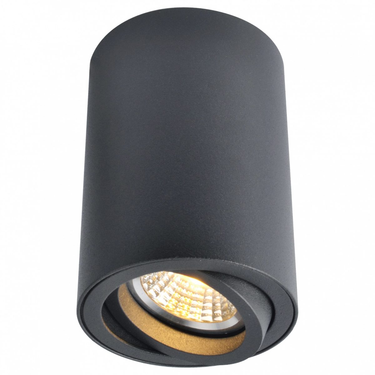 Накладной светильник Arte Lamp Sentry A1560PL-1BK