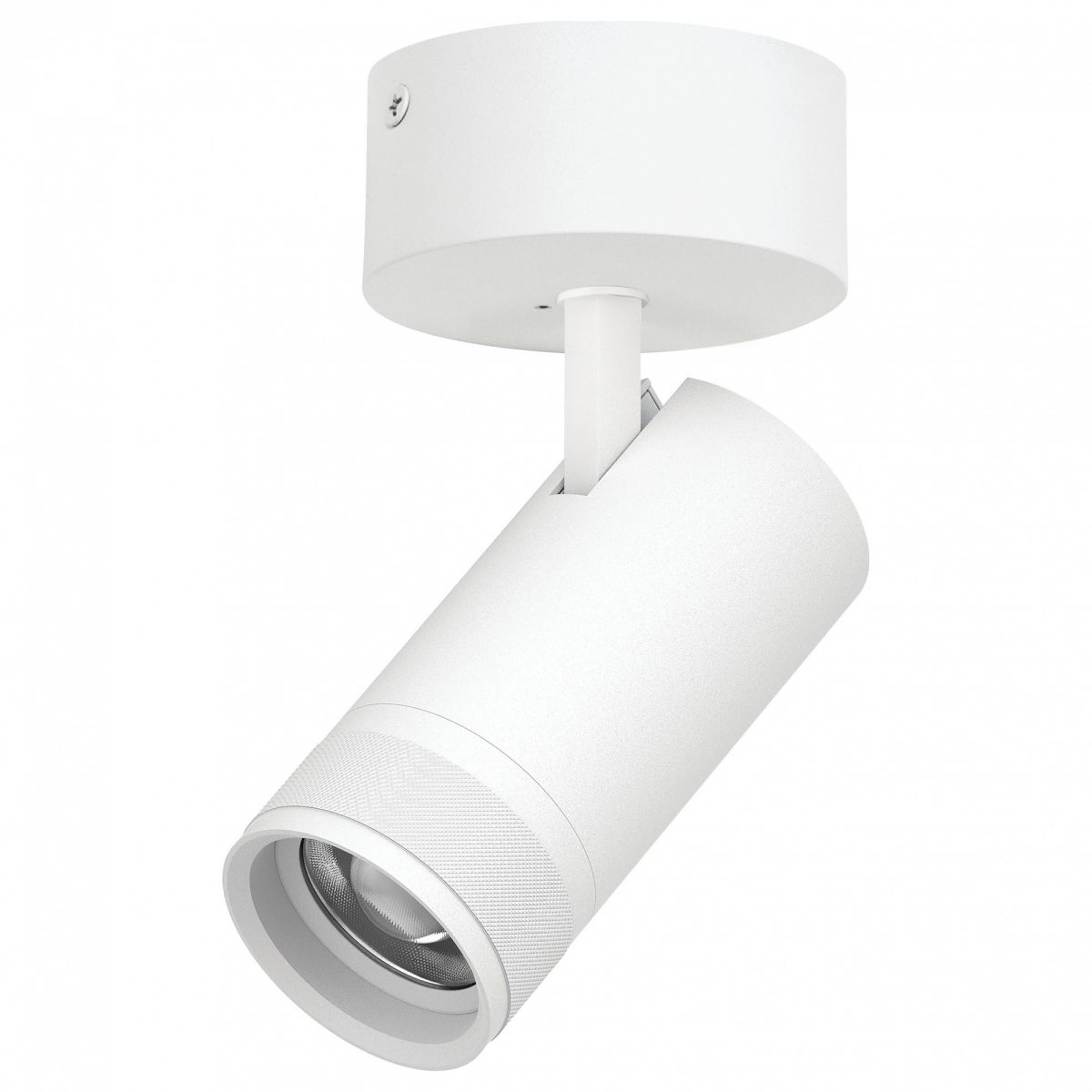 Спот Lightstar Canno Pro C4306SO