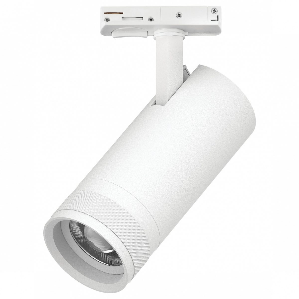 Светильник на штанге Lightstar Canno Pro C4206SS