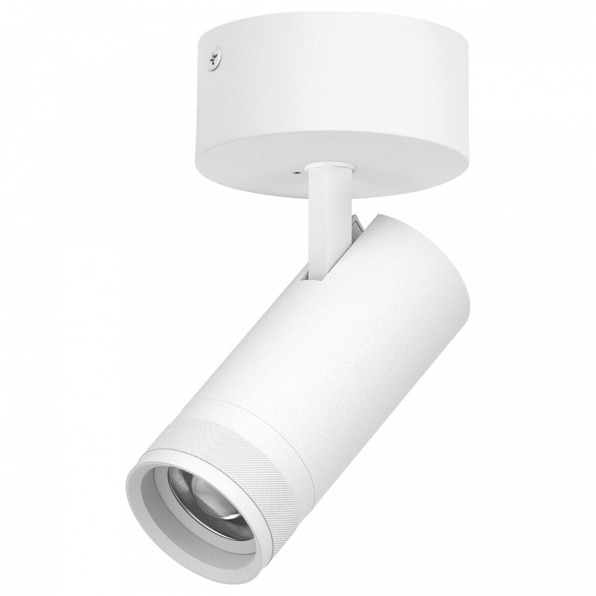 Спот Lightstar Canno Pro C4206SO