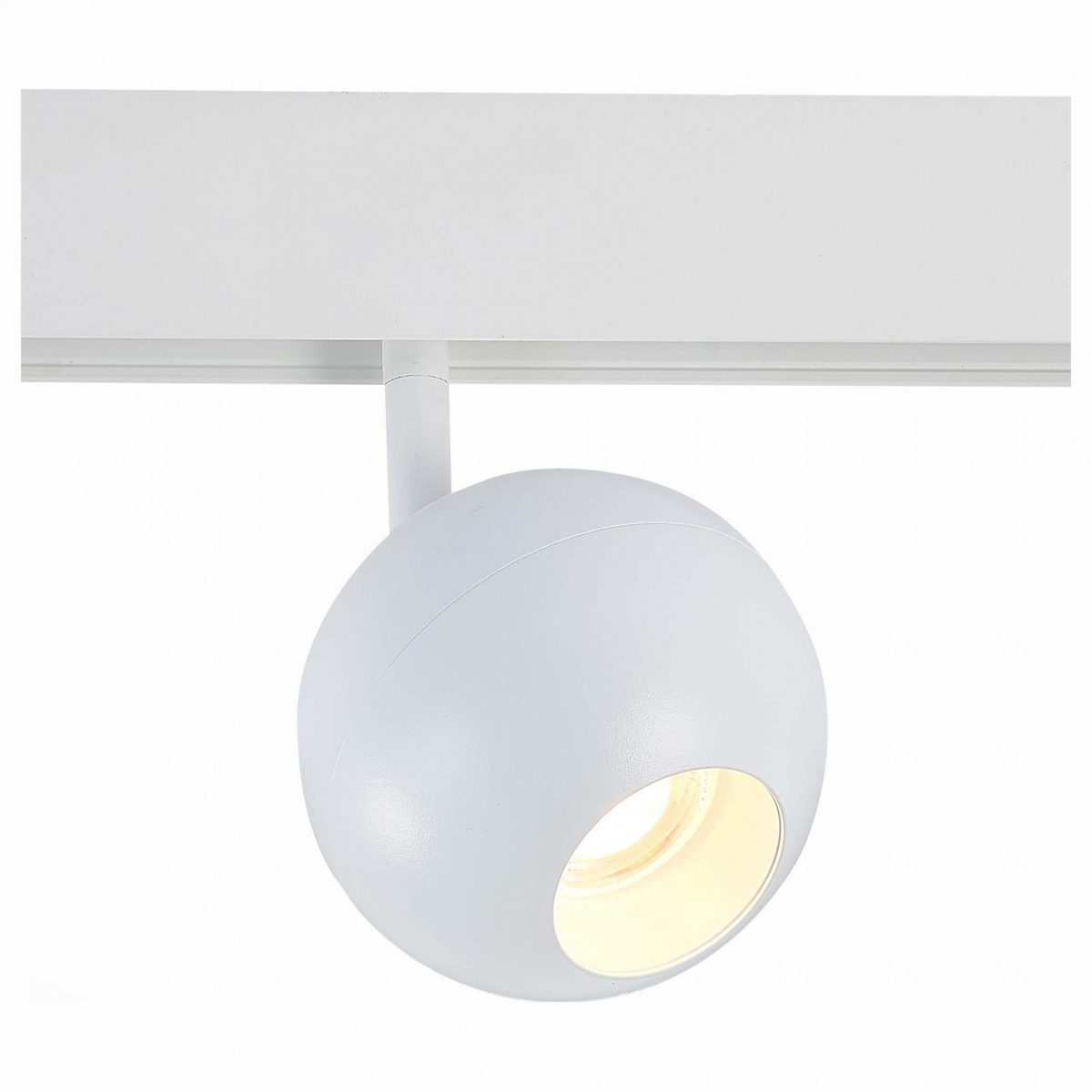 Светильник на штанге ST-Luce Bole ST354.536.12