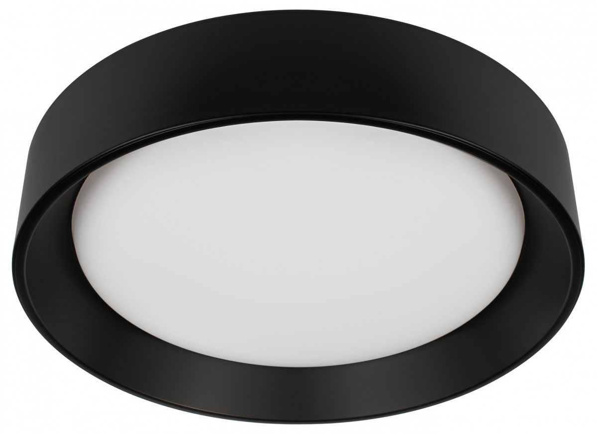 Накладной светильник Loft it Coin 10202 BB