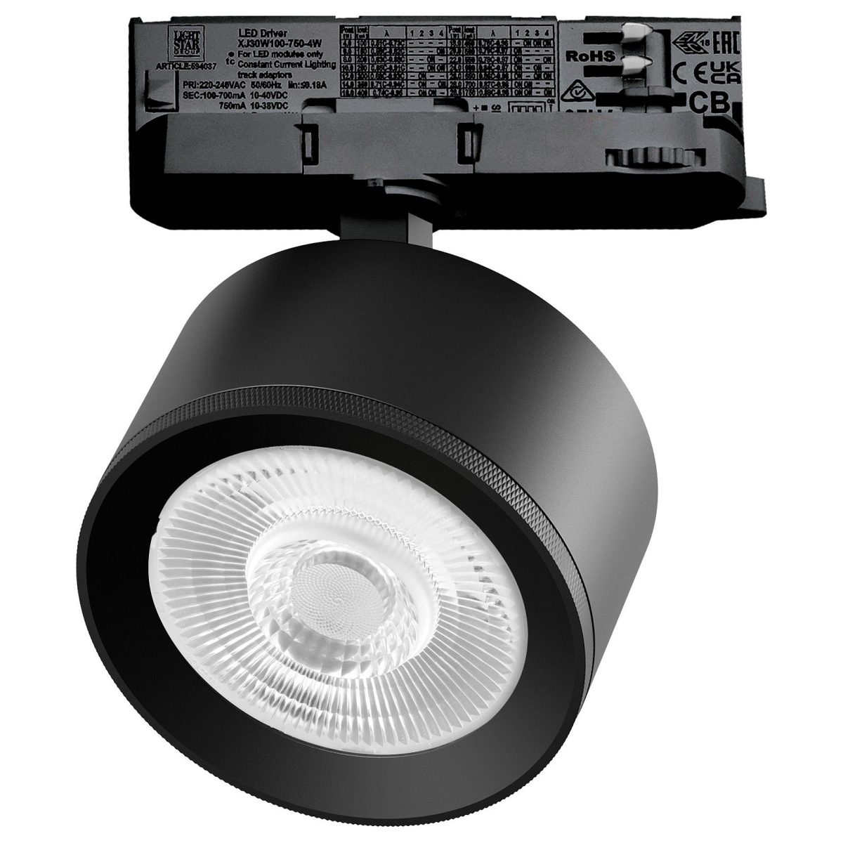 Светильник на штанге Lightstar Alta Pro A5547QT60G