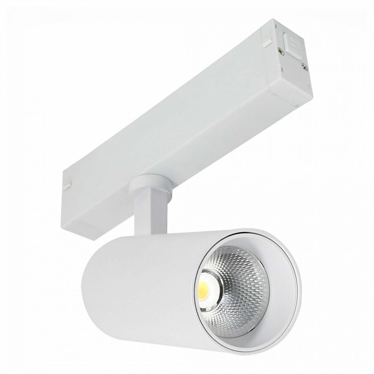 Светильник на штанге ST-Luce SKYLINE 220 ST660.596.10H