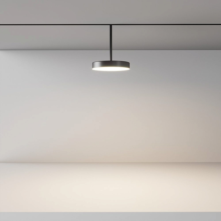 Светильник на штанге Maytoni Technical Plato TR131-4-15W-DS-B