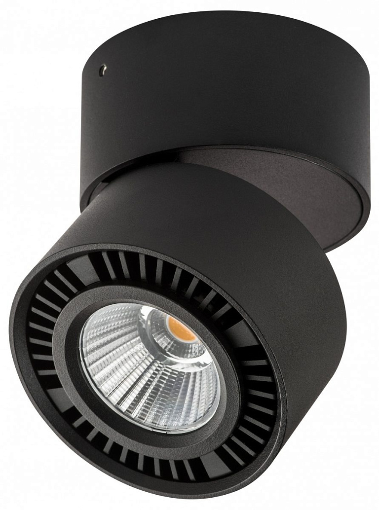 Накладной светильник Lightstar Forte Muro 214817