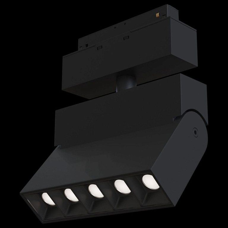Светильник на штанге Maytoni Technical Points Rot TR015-2-10W3K-B