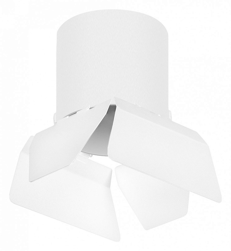Накладной светильник Lightstar Rullo R3486486
