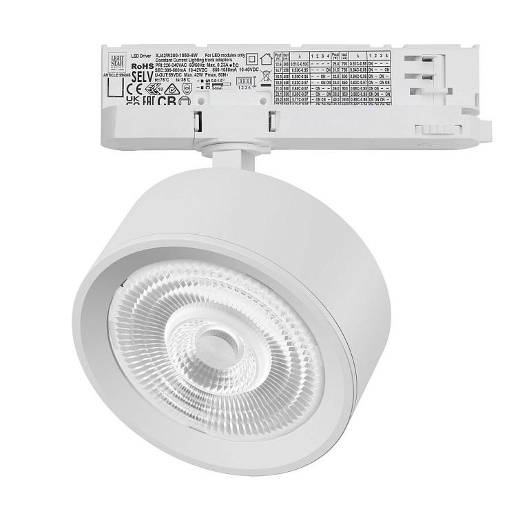 Светильник на штанге Lightstar Alta Pro A5646QT60G