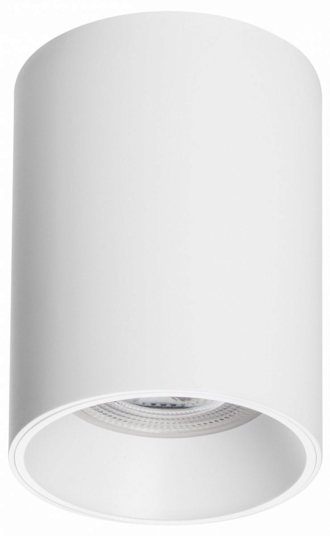 Накладной светильник Lightstar Rullo 213436