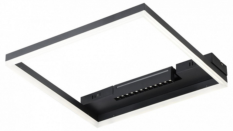 Накладной светильник Freya Frame FR6084CL-L82B
